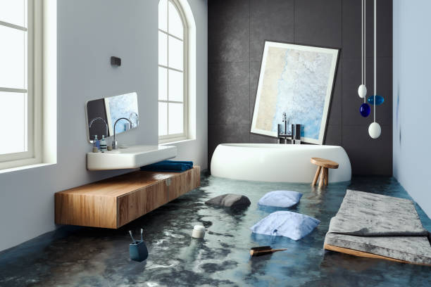 Best Ceiling water damage repair  in Hackberry, TX