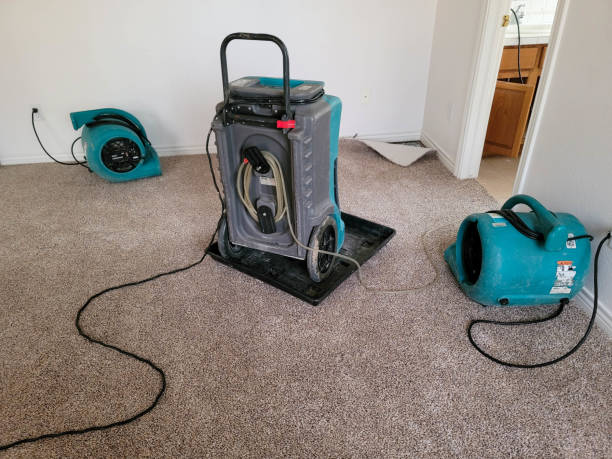 Water damage restoration experts in Hackberry, TX