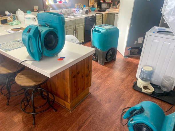 Best Water damage contractors near me  in Hackberry, TX