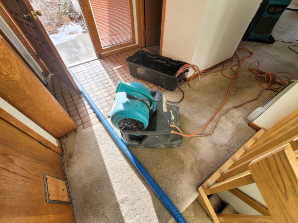  Hackberry, TX Water damage restoration Pros