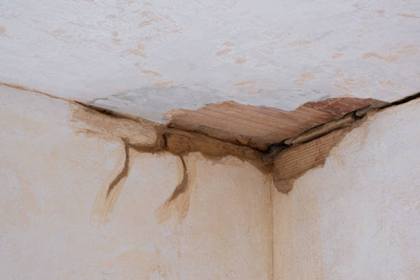 Best Emergency water damage restoration  in Hackberry, TX
