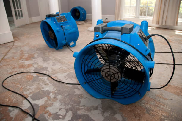 Best Professional water damage repair  in Hackberry, TX
