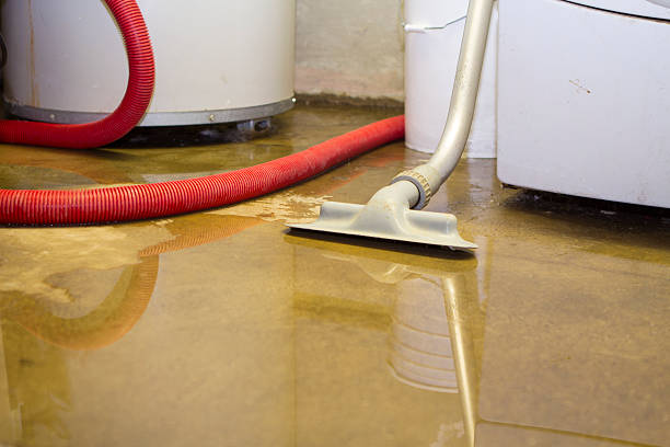 Hackberry, TX Water damage restoration Company