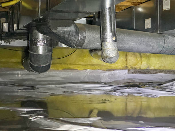 Best Basement water damage restoration  in Hackberry, TX