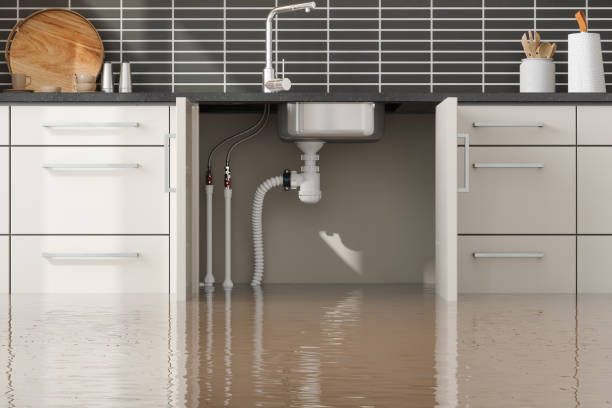 Reliable Hackberry, TX Water damage restoration Solutions