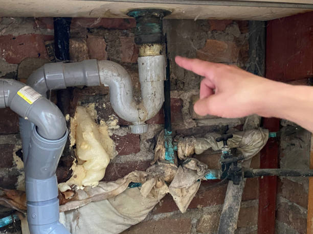Best Basement water damage restoration  in Hackberry, TX