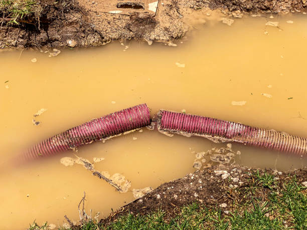 Best Flood restoration services  in Hackberry, TX