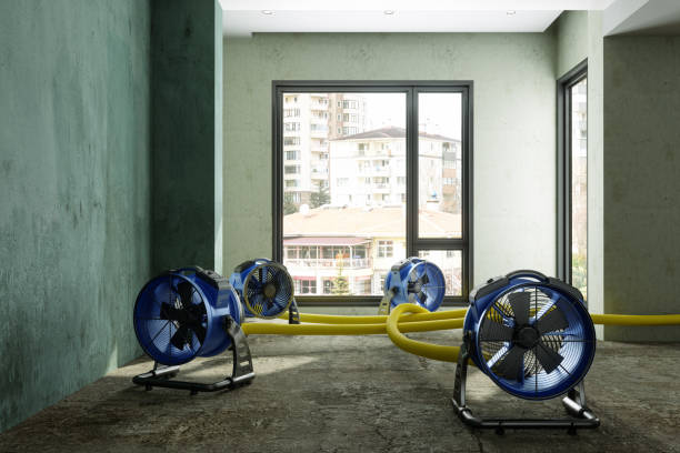 Best Sewage cleanup and water damage restoration  in Hackberry, TX